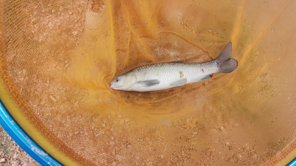 昆明练竿塘探钓,昆明练竿塘钓场推荐