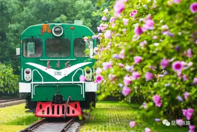 滇越百年米轨铁路小站通往远方,开远滇越铁路米轨历史沿革