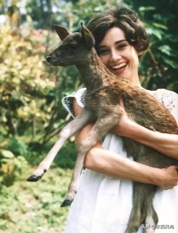 美丽优雅气质美女,美丽气质优雅的美人