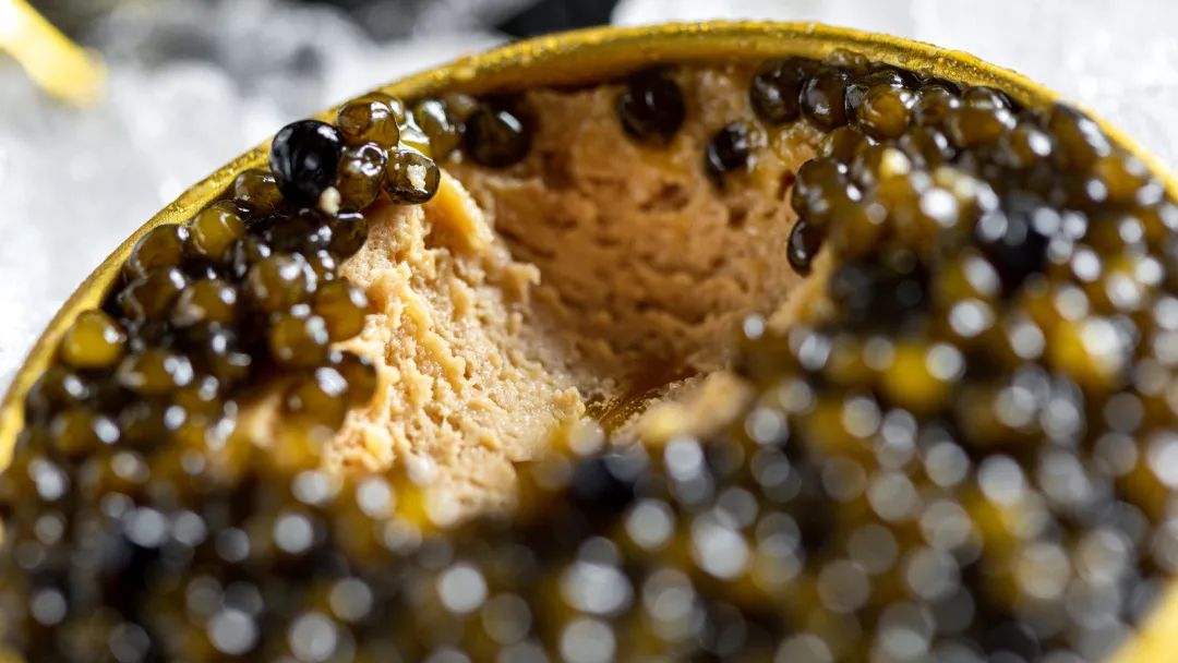 跃YUE|我和现代粤菜料理的三次「跃」会