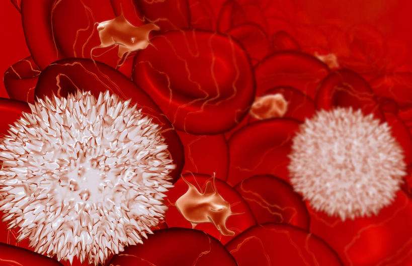 怀孕白细胞偏高会对胎儿有影响吗,怀孕检查白细胞偏高会影响胎儿吗