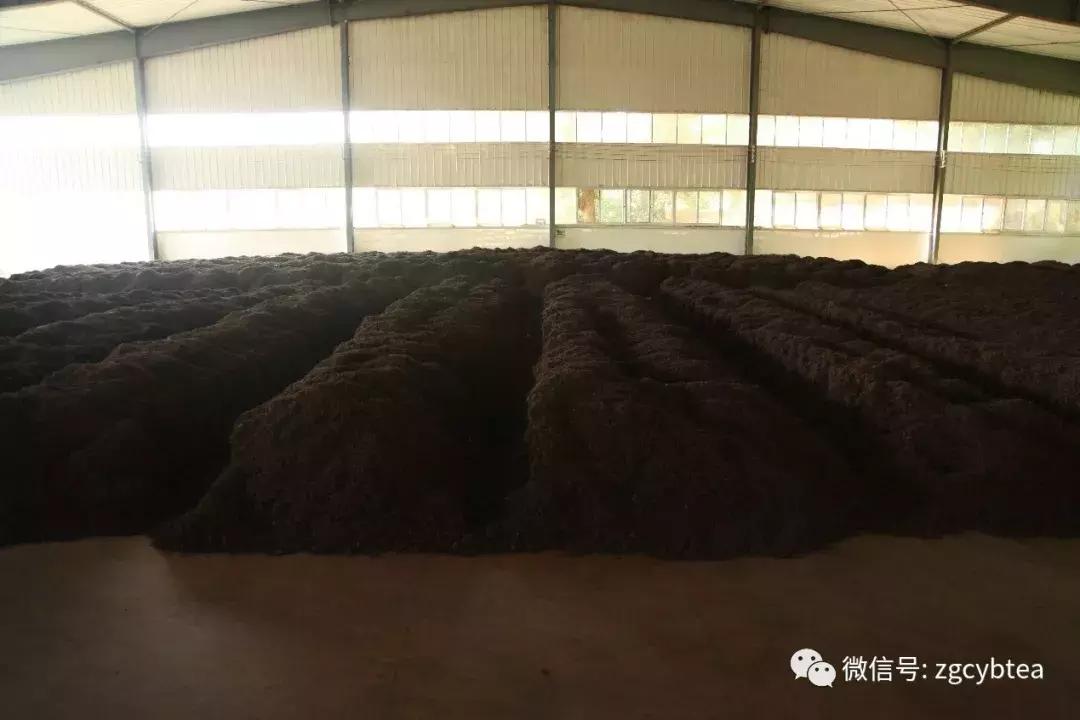 福海茶厂哪款熟茶最好喝,福海茶厂经典标杆茶