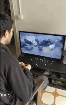 外国网友看抗疫感人视频催人泪下,国外疫情社会百态