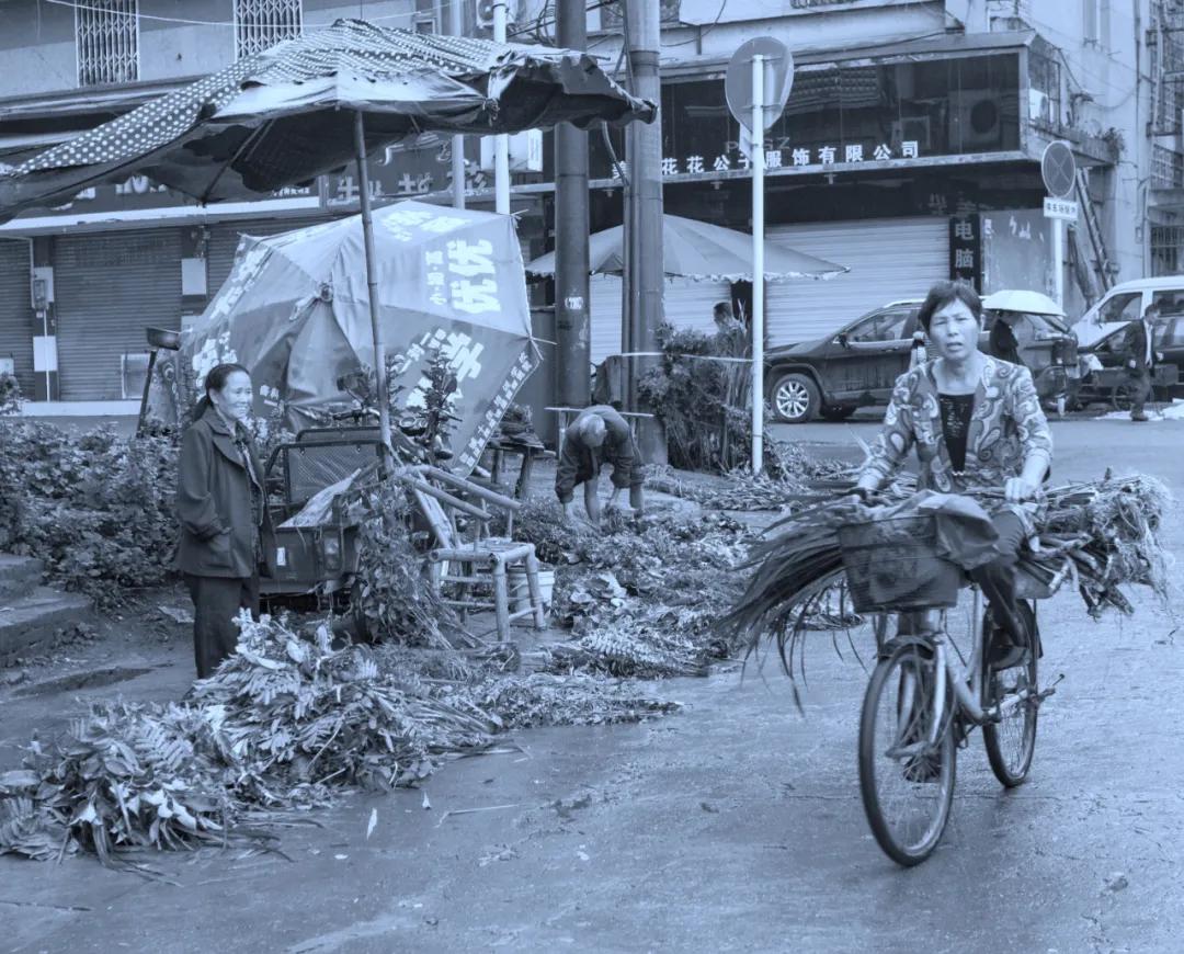 津门网李学群：2017年的端午