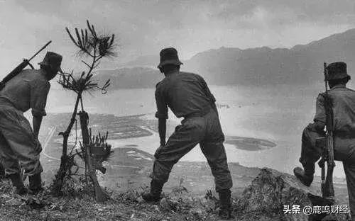 深圳蛇口前世今生,蛇口马老板前世今生