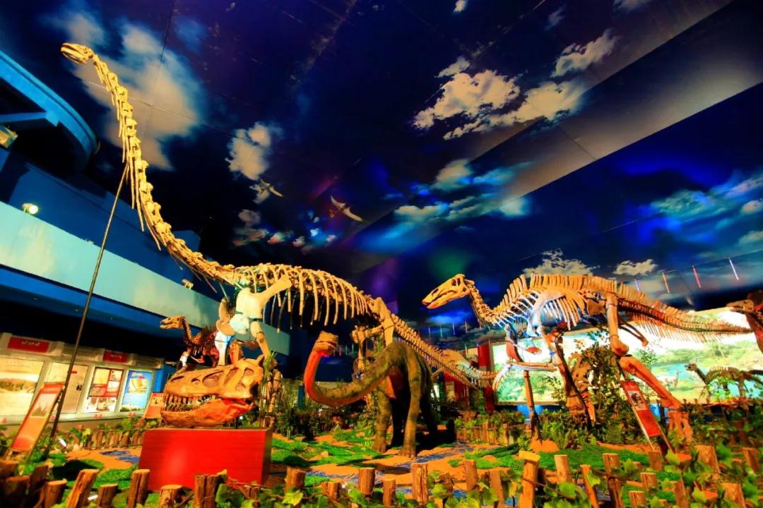 山东旅行不能错过的15个地方,山东出发向南自驾游最美线路推荐