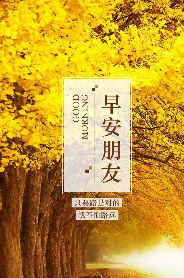 努力奋斗早安正能量的句子简单,早安正能量奋斗的一段话简短励志