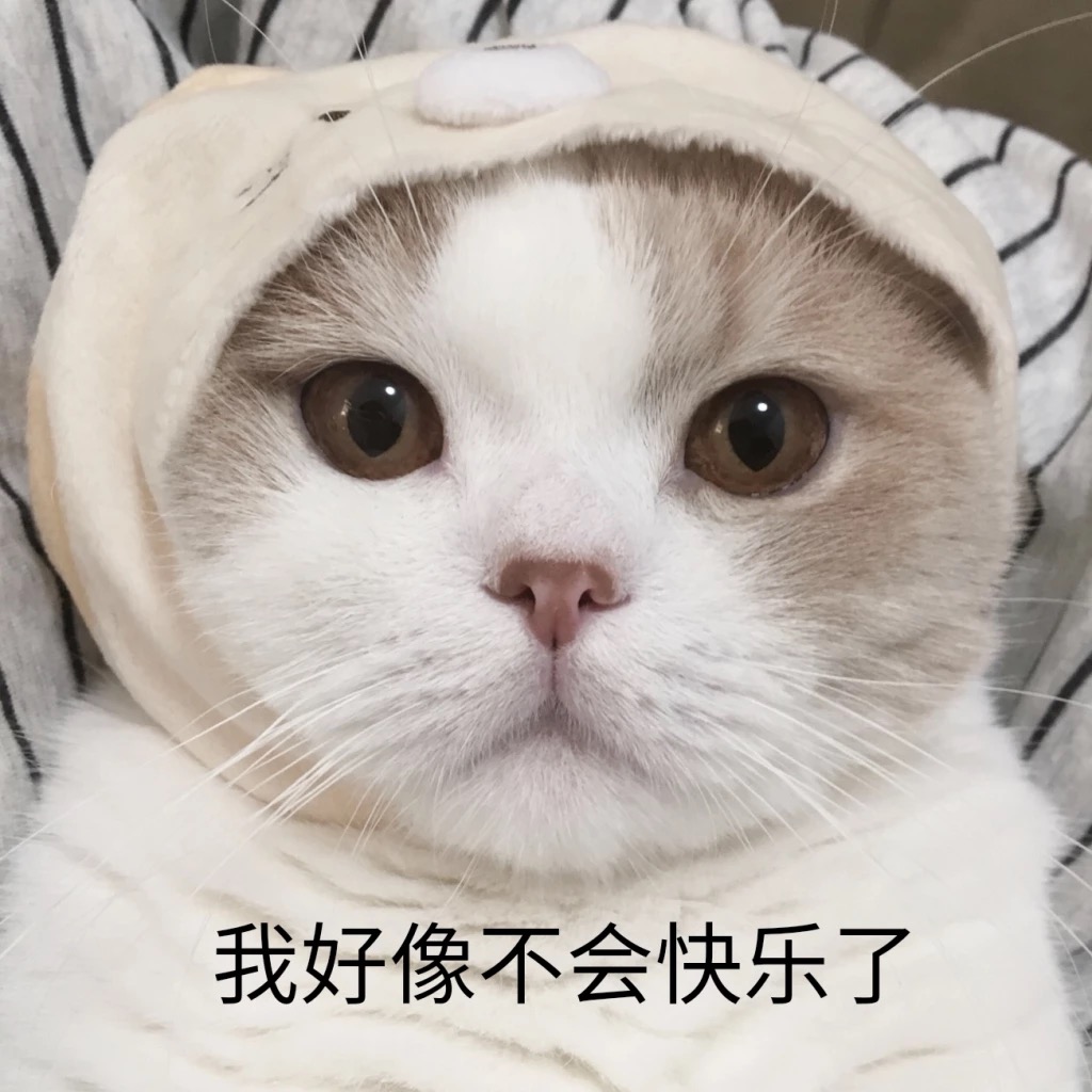 猫咪的屁屁臭怎么办,猫咪回南方拉屎特别臭