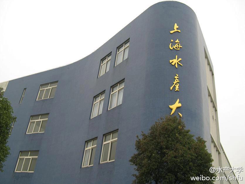 南汇大学城好吗,南汇新城发展较弱的原因