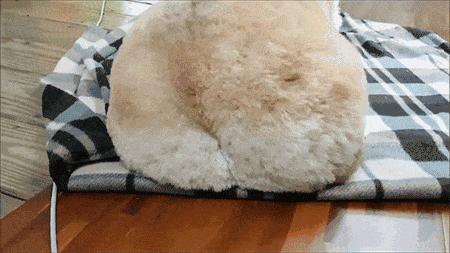 怎么缓解屁股和腰痛,练臀肌有利于缓解腰痛吗