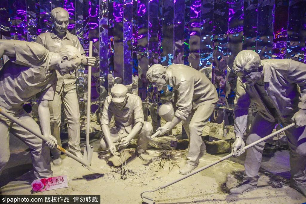 全球最美十大花海美到令人心醉,全球最漂亮花海