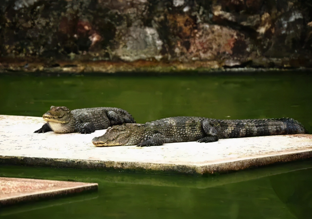 秋天的杭州自驾游,杭州秋冬自驾