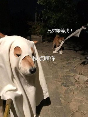 沙漠大干皮深层补水面膜推荐,适合沙漠大干皮用的保湿面膜