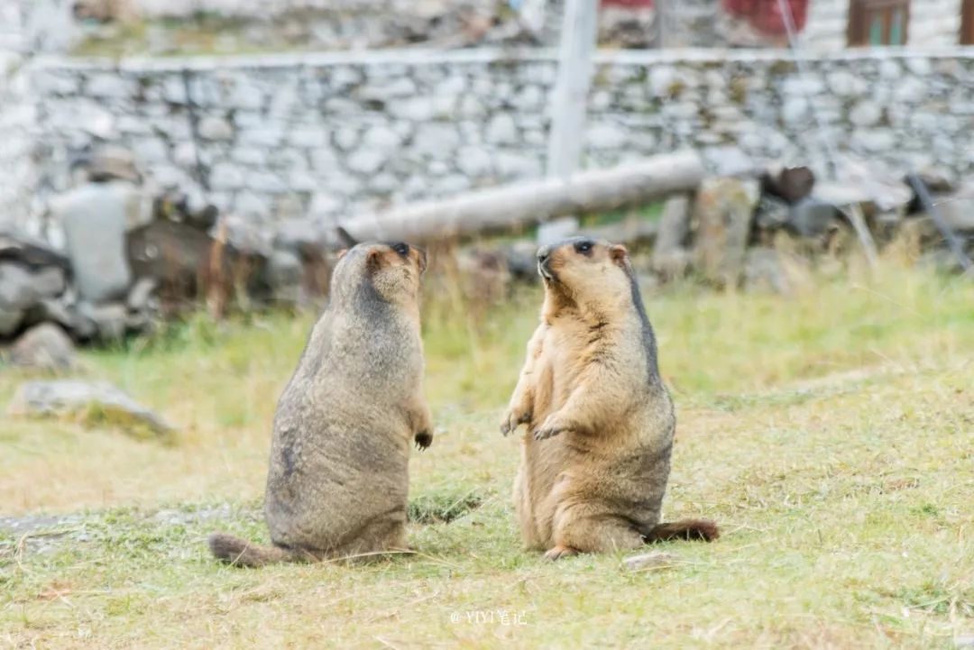 2019年全球必去的52个目的地,2023必去旅游地方排名