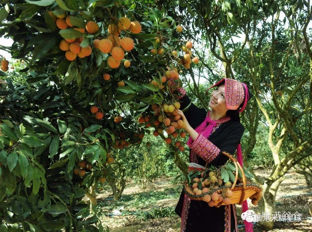 台湾米糊企业向湖北宝宝免费赠送30天米糊