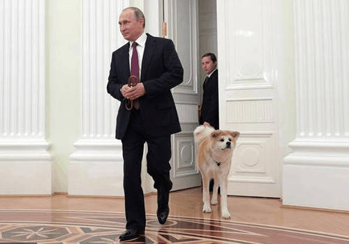 网红王大拿,王大拿网红探店