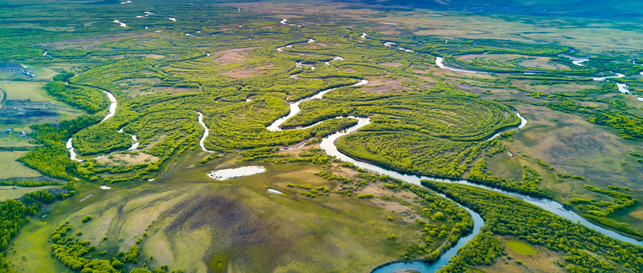 宣讲家,宣讲家网乡村振兴法视频
