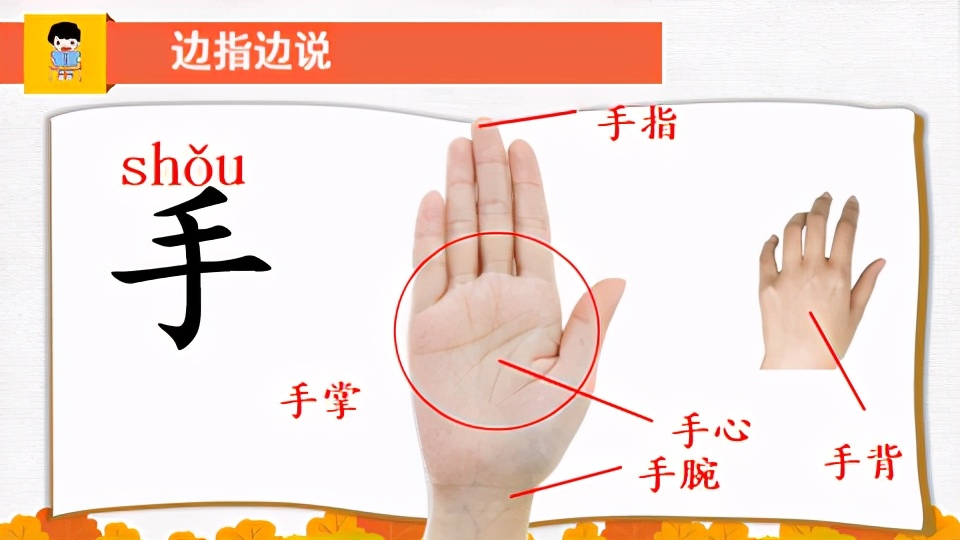 人教版一年级语文口耳目手教案,一年级上册语文口耳目教材简析