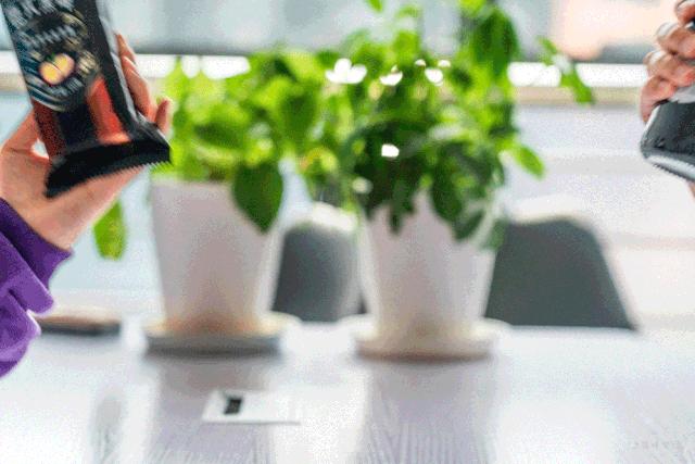 万物皆可酒,万物皆可酒价格