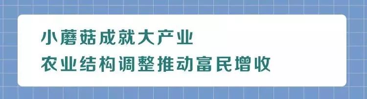 从边陲小镇到魅力之城的华丽转身,从产业地到产业高地的转变