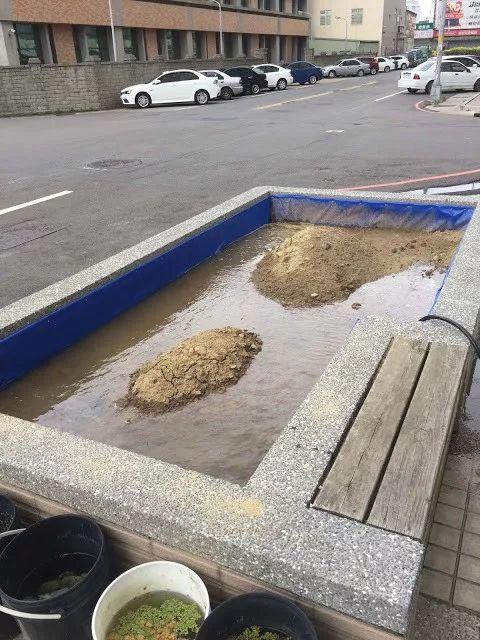 鱼池如何改造成花池,花池改鱼池如何做过滤