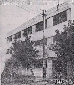 这双鞋伴随了多少人的童年,这双球鞋陪我见证了整个青春