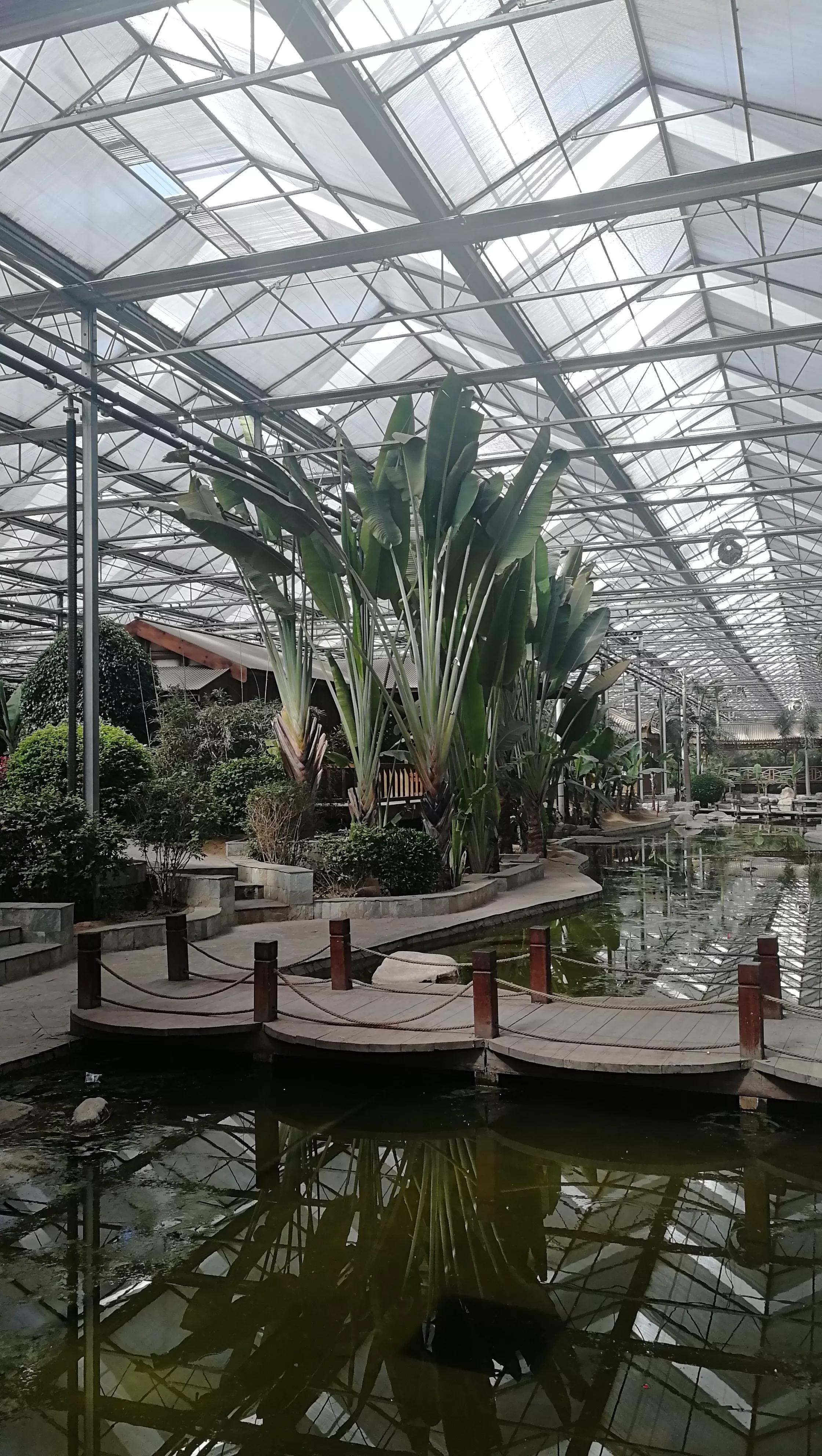 九天休闲谷现在去热吗,九天休闲谷完整版