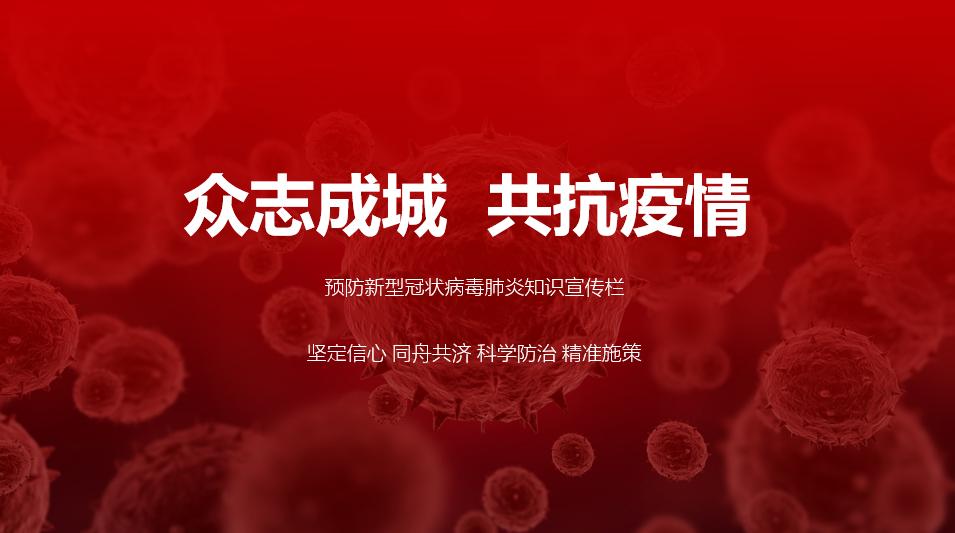 新手如何做ppt2019,经验分享思路ppt