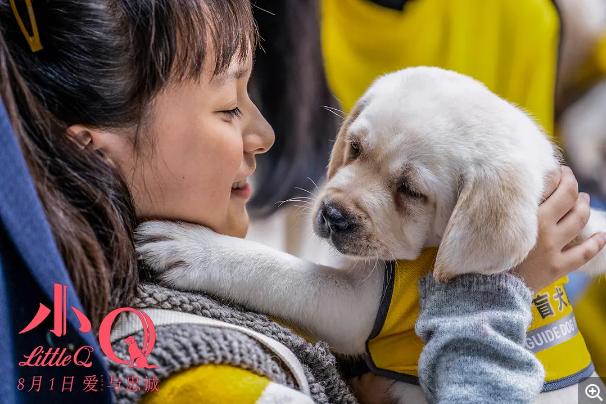 NG次数打破从影记录,任达华的《小Q》本就与众不同