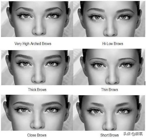 简单快捷适合各种脸型的毛眉画法,毛戈平标准眉形理论