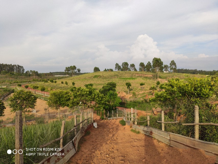 文蕴秀岭，馨怡乐园｜廉江文秀岭农牧场散记
