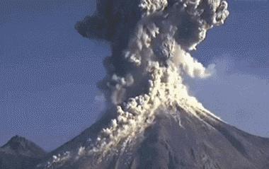 5亿人口的迁徙，从男性到女性体内，小蝌蚪到底都经历了什么？