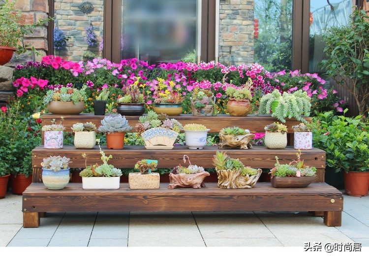 家庭花架放什么样的花盆好看,怎样做的花盆放在花架上才好看