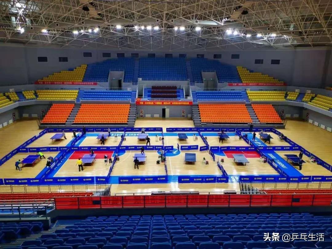 致敬我的球友：重球、重情、重义的颗粒老杨-乒乓生活作品展