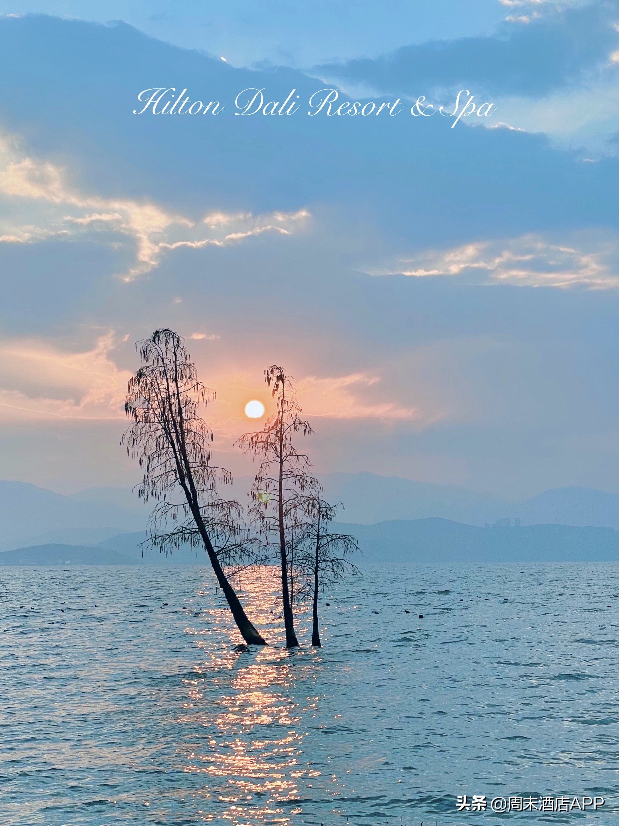 大理古城旁漫步洱海苍山脚下民宿,大理洱海排名前十的悬崖酒店