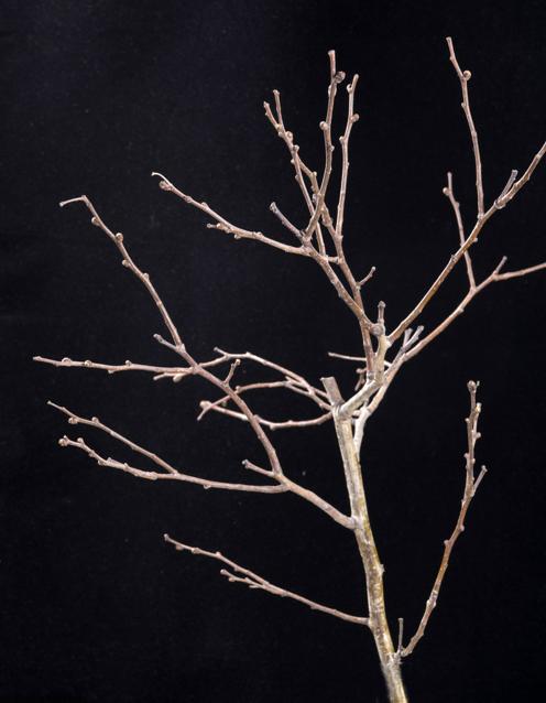 期货交易时机,期货交易关键点位判定条件