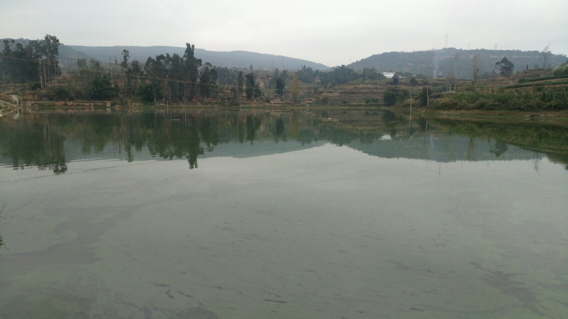 收费100一天的水库,离昆明市区最近的收费钓鱼水库