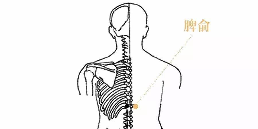 绝经后为什么会突然发胖怎样减肥,绝经后中药调理就不会发胖了吗