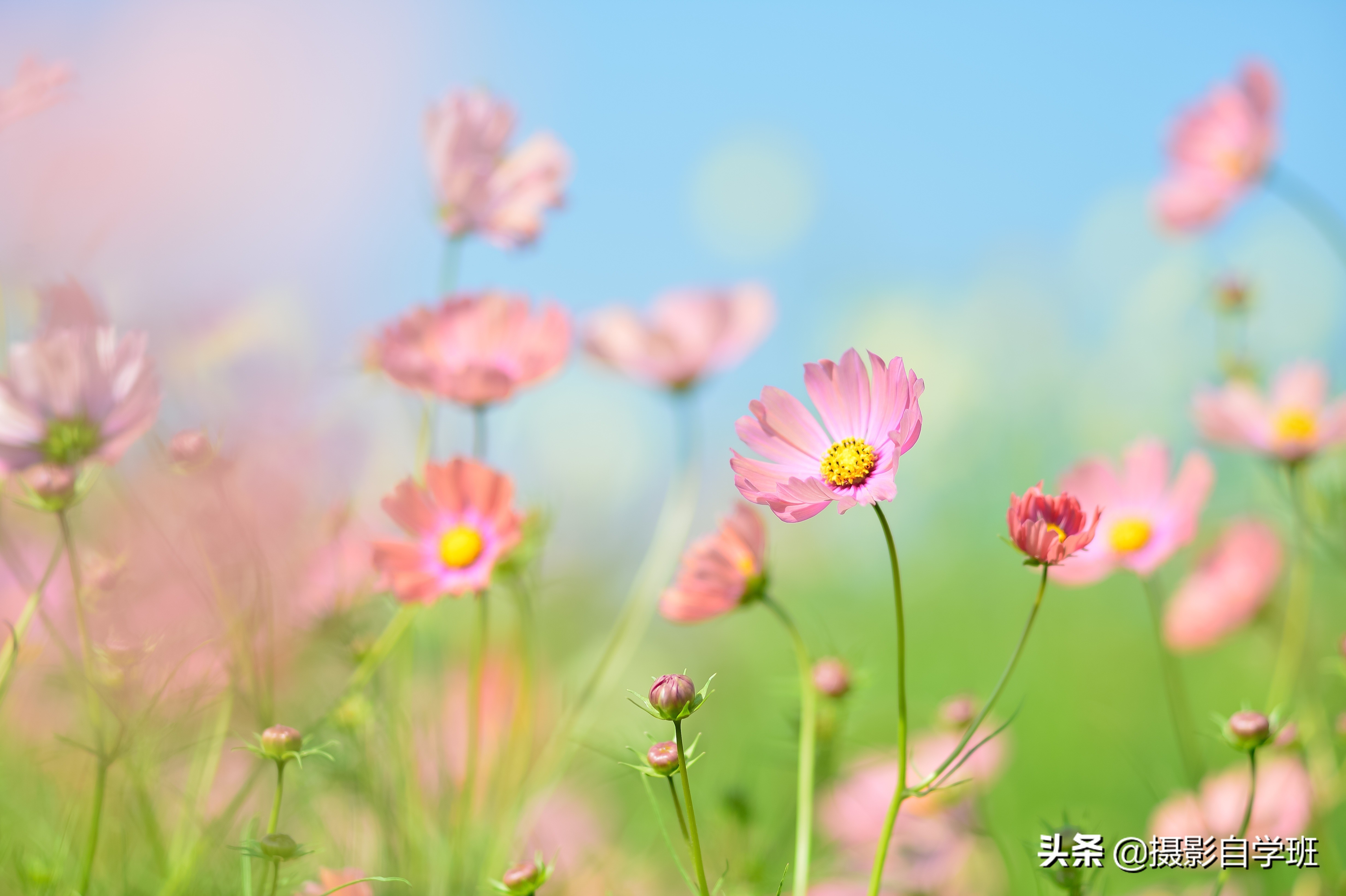 雾里看花怎么拍,雾景的拍摄技巧拍出雾气朦胧大片