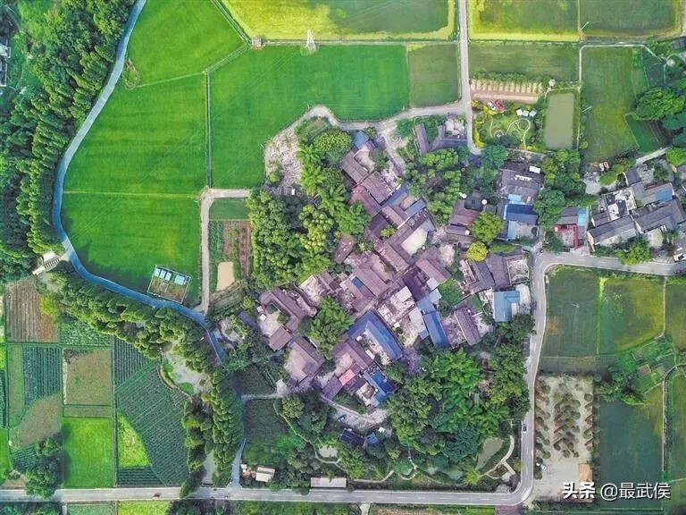 3月底天府绿道哪段最美,天府绿道彩色油菜花