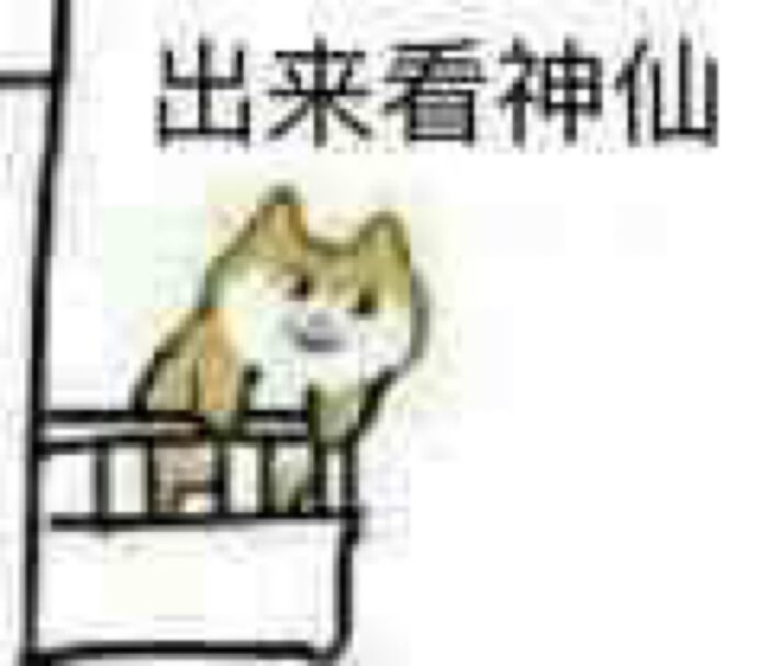 steam被外挂毁掉的游戏,被外挂毁掉的steam游戏