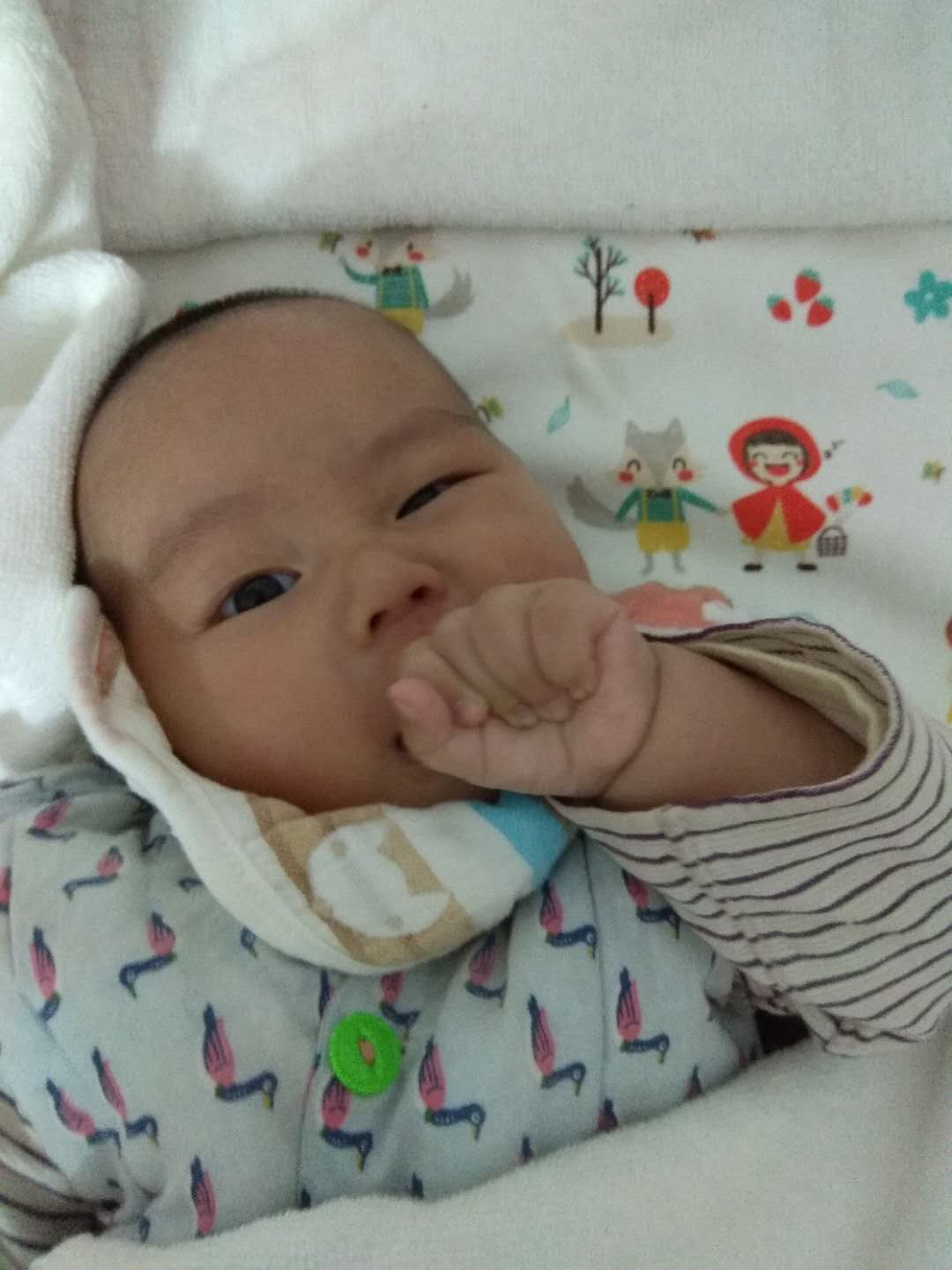 1岁多宝宝老是吃手是怎么回事,为啥宝宝喜欢吃手