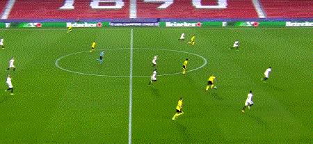 巨龙困斑马，黄蜂覆脸盆