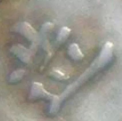 银元袁大头的120个版别大全,袁大头经pcgs评级后能确定版别吗