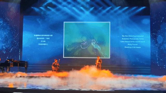 丽水摄影节全景,丽水摄影节图片