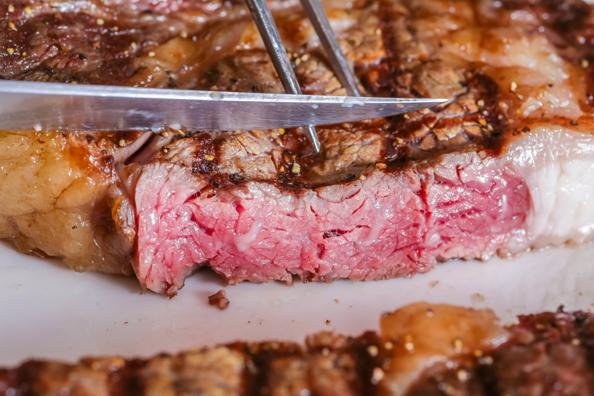 法格蒸烤箱和大宇蒸烤箱哪个好,家用是买烤箱好还是蒸烤箱好