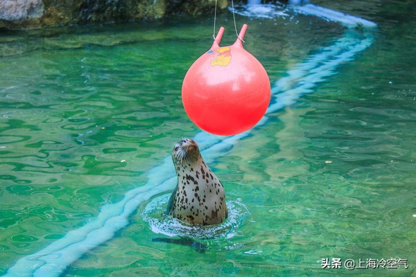 山东亲子乐园好玩吗,山东适合小宝宝玩的亲子乐园