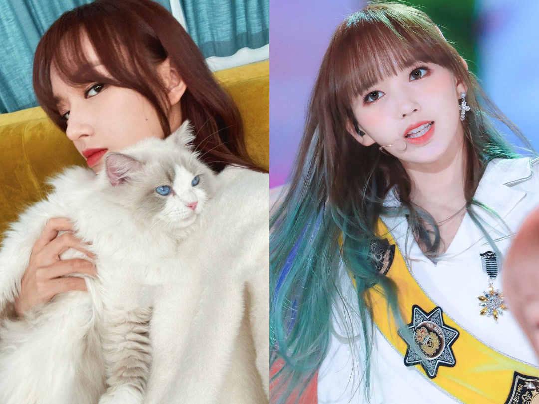 高贵妃嚣张跋扈,高贵妃嚣张时刻