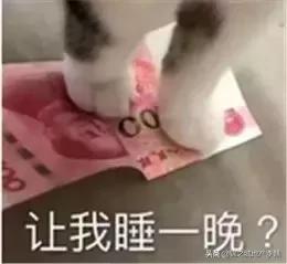 和朋友吵架了冷战怎么解决搞笑,和朋友吵架冷战想和解的视频