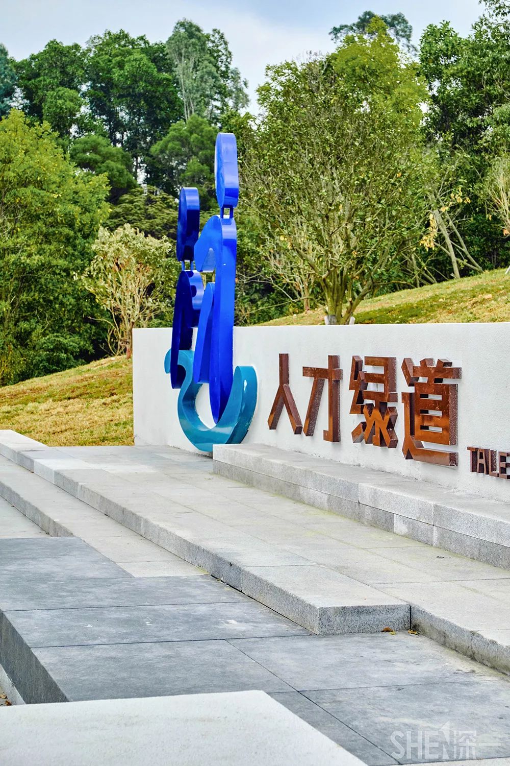 龙华新公园在哪里,深圳龙华区免费的公园